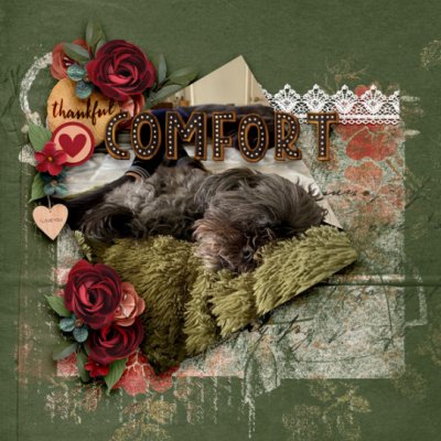 Comfort3