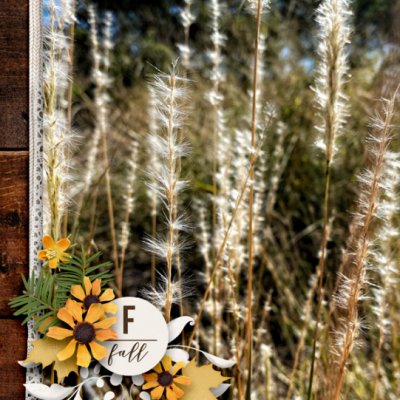 FallWalks1