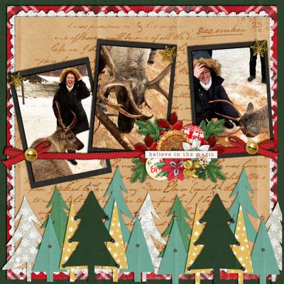 Reindeer Farm