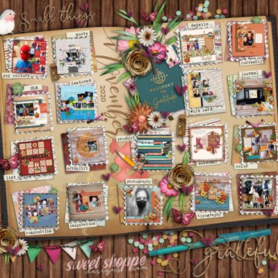 Nov2020 Passport