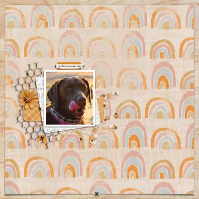 November 2020 Passport to Gratitude: Challenge 17 Details Stitched  Shapes