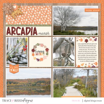 Arcadia Marsh