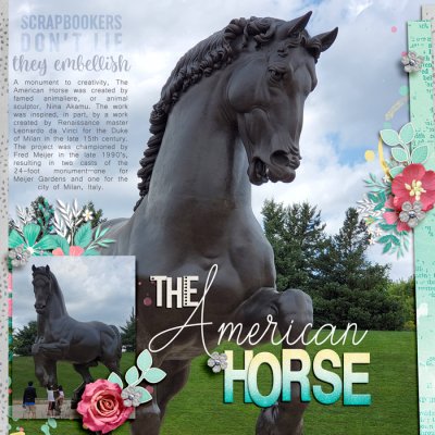 The American Horse - passport 7