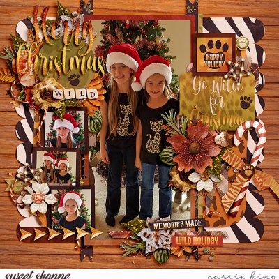 Wild Holiday