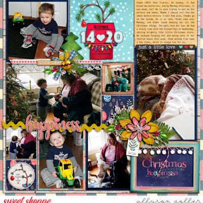 2009 December PL 05
