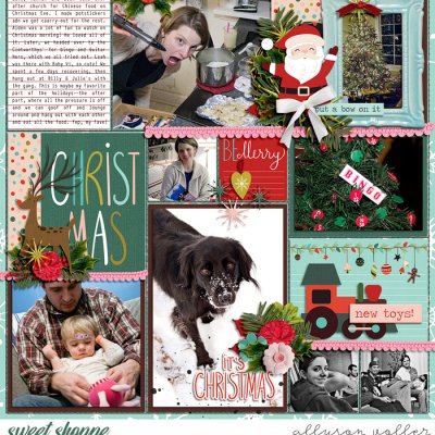 2009 December PL 08