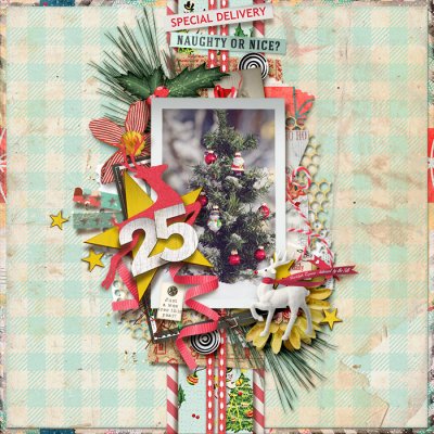 tnp-ASpecialDelivery-Tracy02