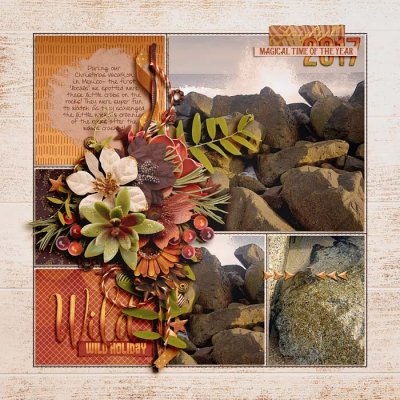2017_12_Wild_Holiday_copy