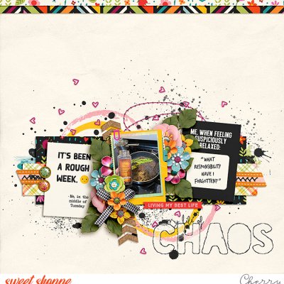 My Life Of Chaos