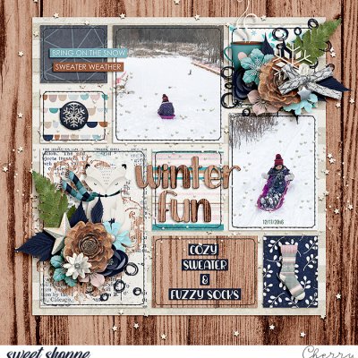Winter Fun