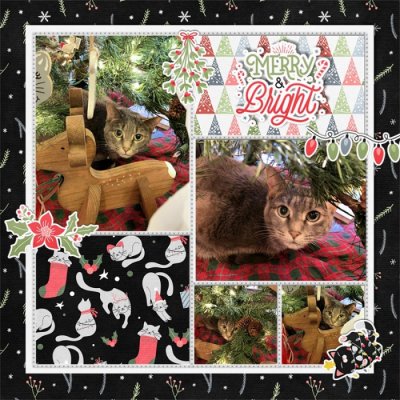 Countdown_to_Christmas