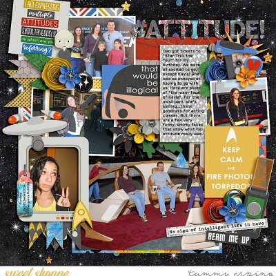 attitude