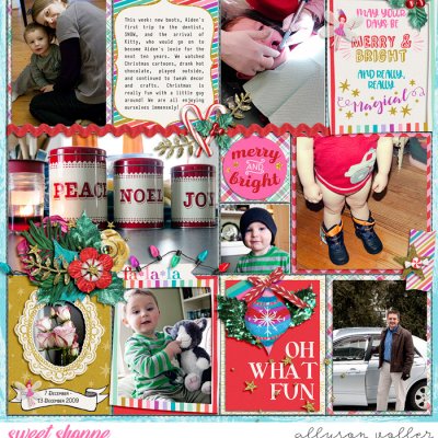 2009 December PL 03