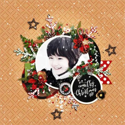 Christmas Happiness : Country Charm