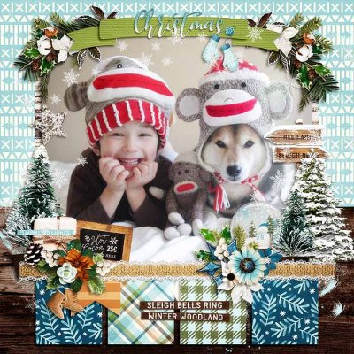 Christmas Happiness : Let It Snow