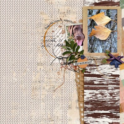 November 2020 Passport to Gratitude: Challenge 11 Wild Card