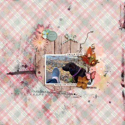 November 2020 Passport to Gratitude: Challenge 18 Scraplift