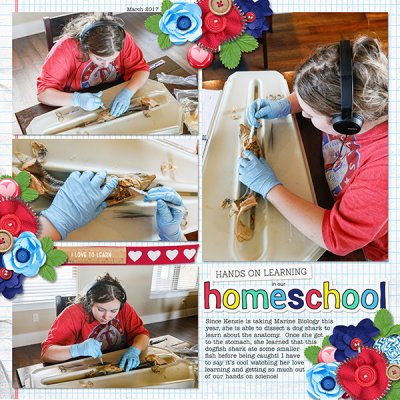 Homeschool Science