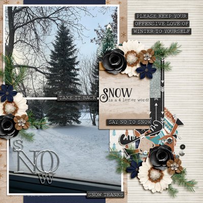 Snow is a Four Letter Word