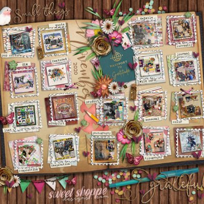 November 2020 Passport