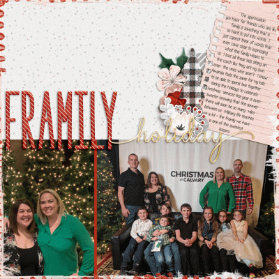 Framily Holiday