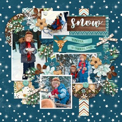 Christmas memories - winter wonder