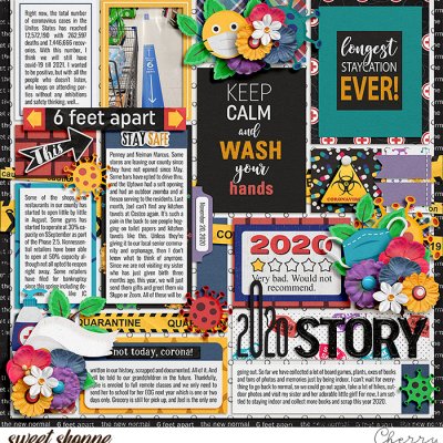 2020 Story