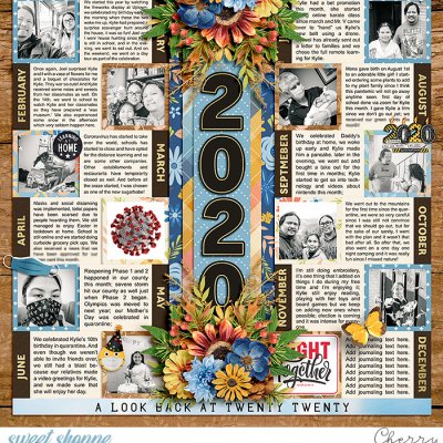 A Look Back At 2020