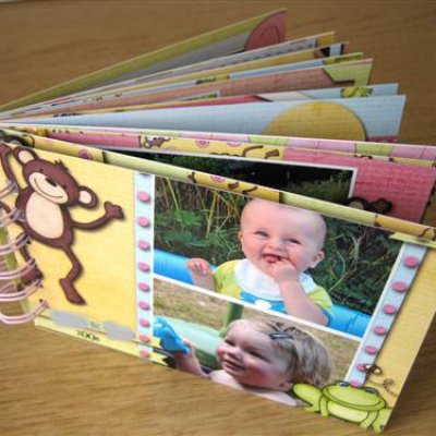 Hybrid Baby Album