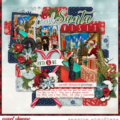 Covid Santa Visit