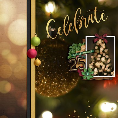 December 2020 Passport to Celebration: Square 7 Photography: Bokeh
