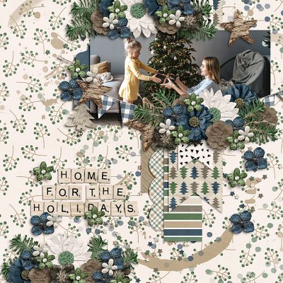 Home For The Holidays
