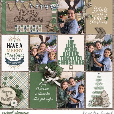 2020 Merry Christmas- bringing Olive home