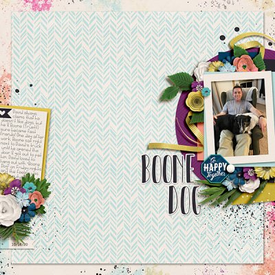 Dec Passport #12 Boone Dog