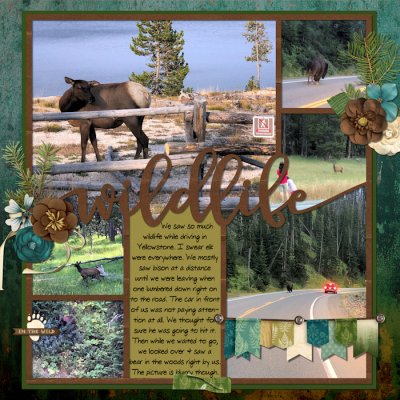 Wyoming Page 22