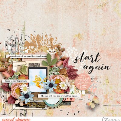 Start Again