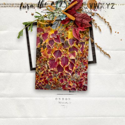 TurnThePage