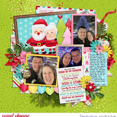 Joy of the Season