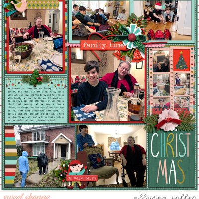 2019 family christmas visit