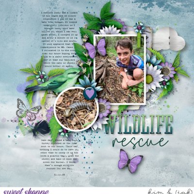 Wildlife Rescue