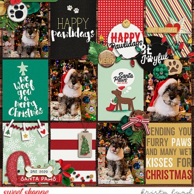 2020 Happy Pawdays