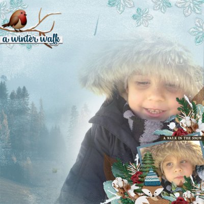 cmg_wendyp-winterwalk_tcot