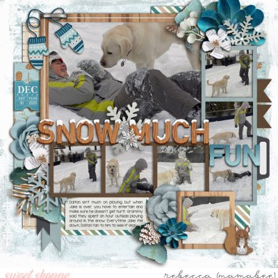 Snow Much fun