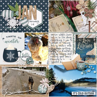 January 1-8 right