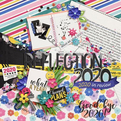 2020 Reflection