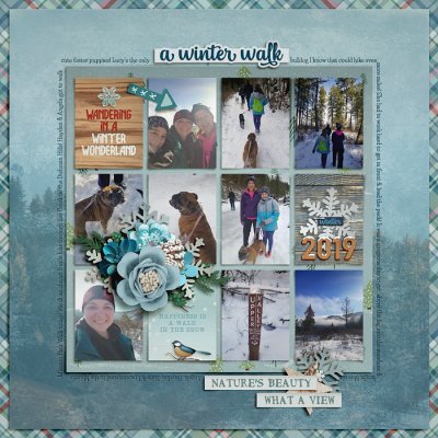 Winter Walk