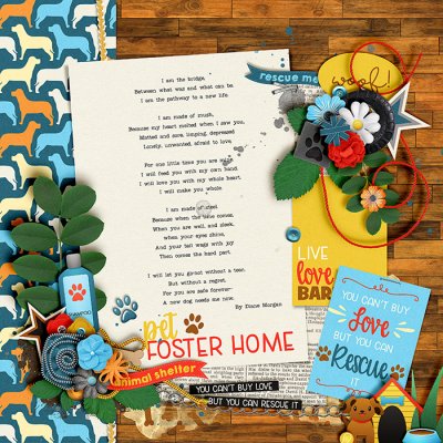 Pet foster