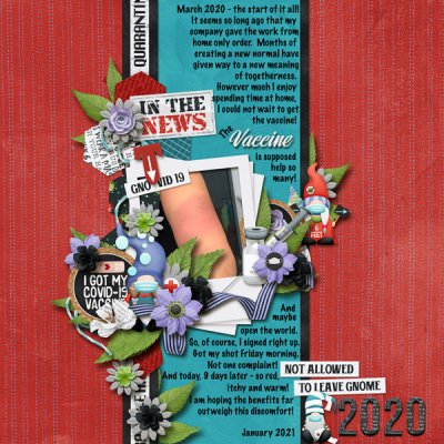vaccine reaction