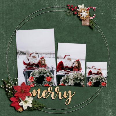 Merry- #8 January Passport
