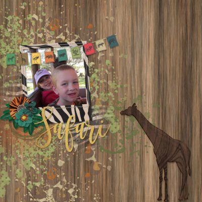Safari